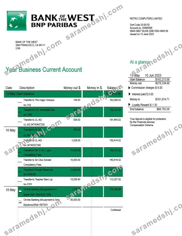 Bank of the West company checking account statement Word and PDF template